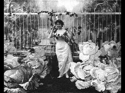 The Cabbage Fairy (La Fée aux Choux)