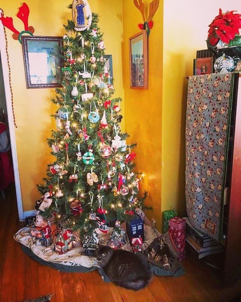 It’s not a tree until there’s a kitty sitting under it! via Instagram
